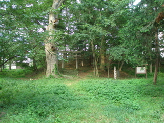P8010280t.jpg