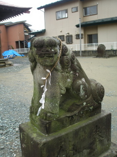 P9200032t.jpg