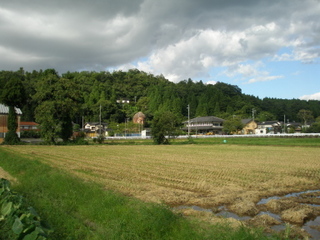 P9250183t.jpg