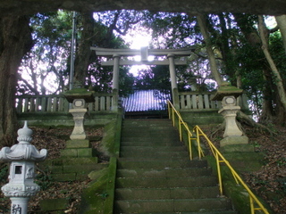 P9250300t.jpg