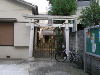 PB060068t.jpg
